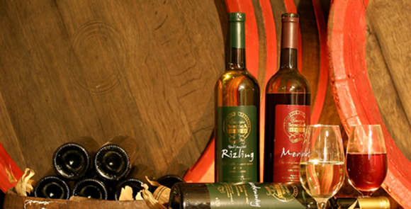 Degustazione vini