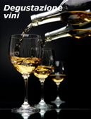 Degustazione vini