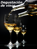 Degustacion de vinos